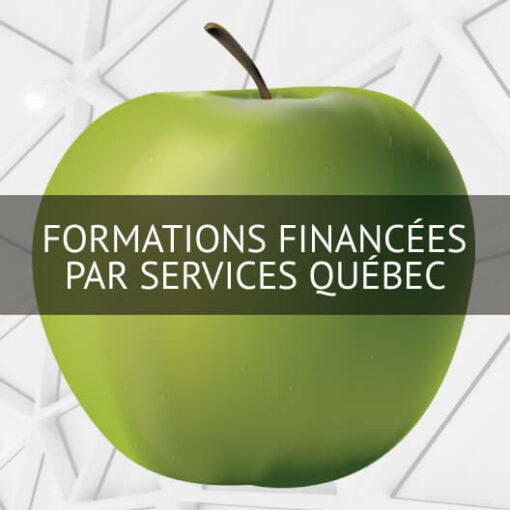 formations financées par Services Québec
